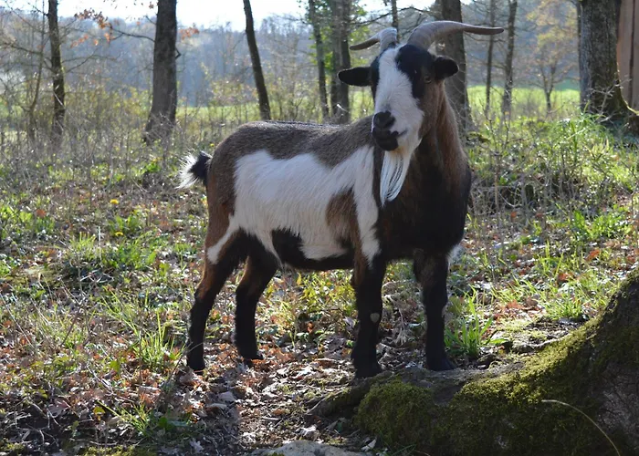 Сasa de vacaciones Spa-truffiers-proche Sarlat